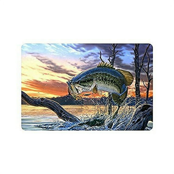 WinHome Funny Bass Fish Doormat Floor Mats Rugs Outdoors/Indoor Doormat Size 23.6x15.7 inches