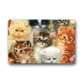 thumbnail image 1 of WinHome Funny Cats Doormat Floor Mats Rugs Outdoors/Indoor Doormat Size 23.6x15.7 inches, 1 of 1