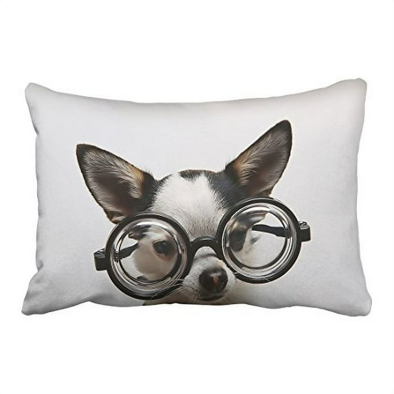 WinHome Funny Dog In Big Round Glasses Cute Puppy Decorative Pillow Cover With Hidden Zipper Decor Cushion Two Side 20x30 inches