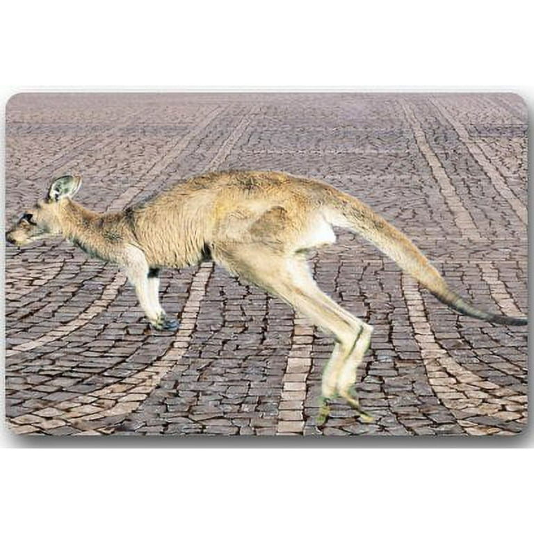 WinHome Funny Kangaroo Doormat Floor Mats Rugs Outdoors/Indoor Doormat Size  23.6x15.7 inches