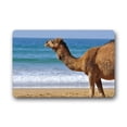 thumbnail image 1 of WinHome Funny Sea Beach Camel Animal Doormat Floor Mats Rugs Outdoors/Indoor Doormat Size 23.6x15.7 inches, 1 of 1