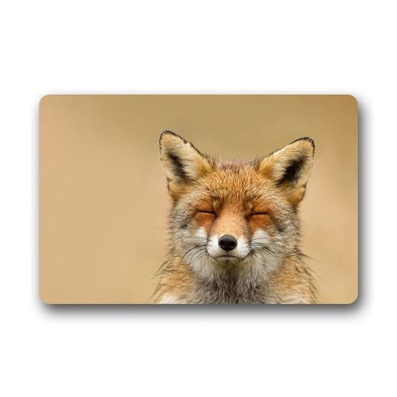 WinHome Funny Smile Doormat Floor Mats Rugs Outdoors/Indoor Doormat Size 23.6x15.7 inches