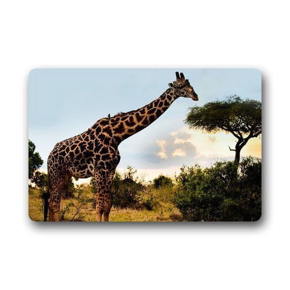 WinHome Giraffe African Wildlife Trees Nature Landscape Floral Doormat Floor Mats Rugs Outdoors/Indoor Doormat Size 23.6x15.7 inches