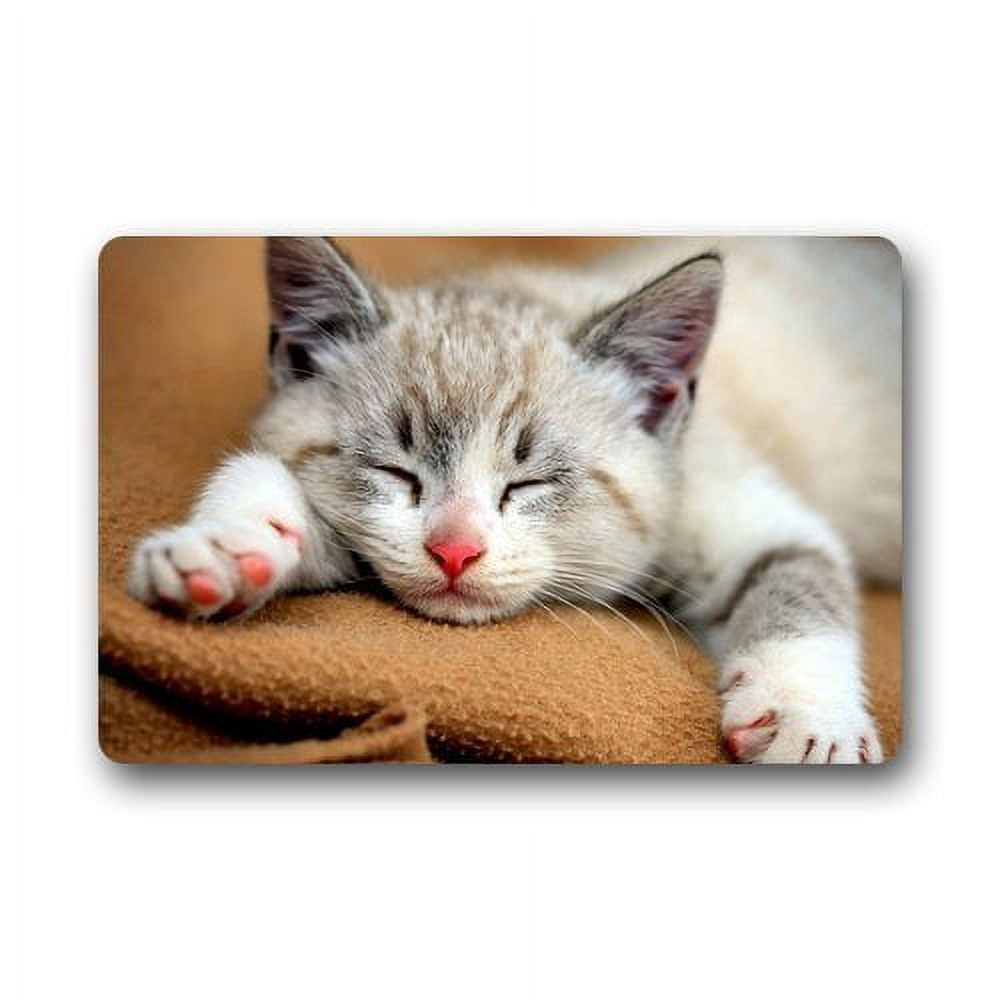 https://i5.walmartimages.com/seo/WinHome-Give-Me-Five-Beware-of-Cute-Cat-Paws-Doormat-Floor-Mats-Rugs-Outdoors-Indoor-Doormat-Size-23-6x15-7-inches_16d67b30-b7dc-4b73-bcf0-0230b1c93972.e7d1eff7caf3eae5d5fb98f5980a1b08.jpeg