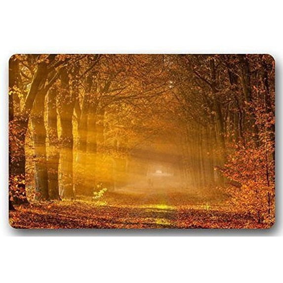 WinHome Golden Maple est Road Doormat Floor Mats Rugs Outdoors/Indoor Doormat Size 30x18 inches