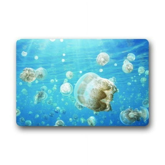 WinHome Jellyfish Doormat Floor Mats Rugs Outdoors/Indoor Doormat Size 23.6x15.7 inches
