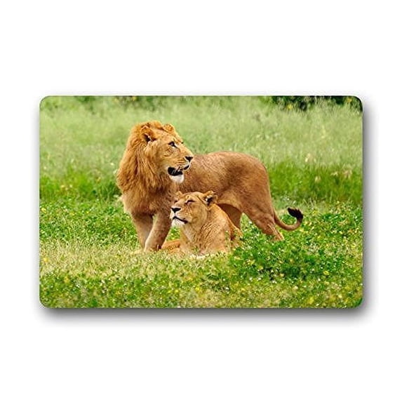 WinHome Lion & Lioness Doormat Floor Mats Rugs Outdoors/Indoor Doormat Size 30x18 inches