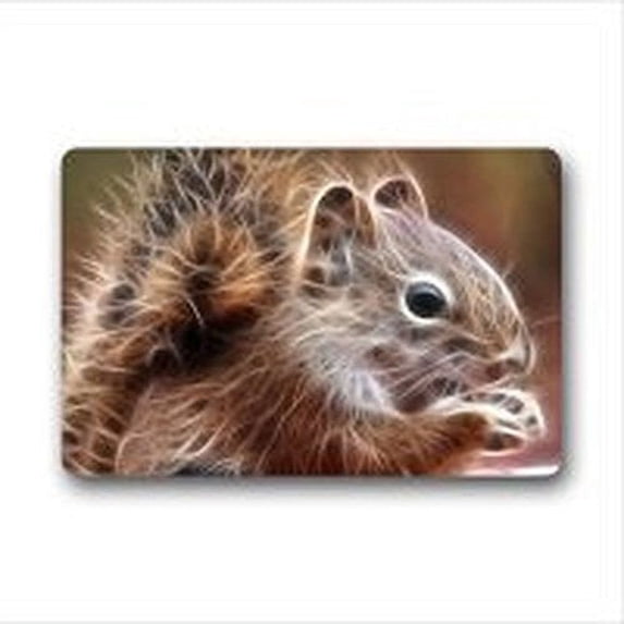 WinHome Lovely Squirrel Doormat Floor Mats Rugs Outdoors/Indoor Doormat Size 23.6x15.7 inches