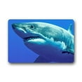 thumbnail image 1 of WinHome Mind The Gap Doormat Floor Mats Rugs Outdoors/Indoor Doormat Size 23.6x15.7 inches, 1 of 1