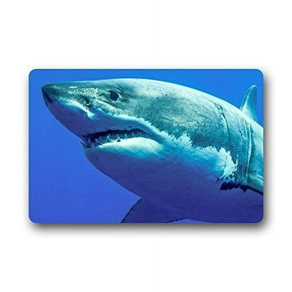 WinHome Mind The Gap Doormat Floor Mats Rugs Outdoors/Indoor Doormat Size 23.6x15.7 inches