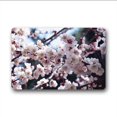 thumbnail image 1 of WinHome Natural Plant Peach Blossom Doormat Floor Mats Rugs Outdoors/Indoor Doormat Size 23.6x15.7 inches, 1 of 1