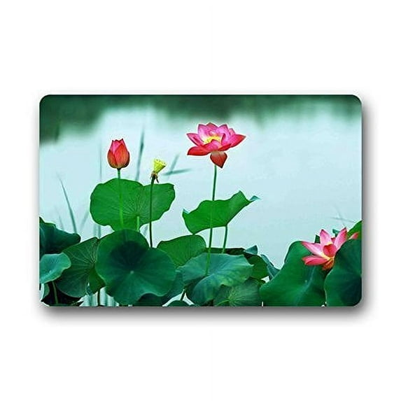 WinHome Nature Beautiful Lotus Flower Doormat Floor Mats Rugs Outdoors/Indoor Doormat Size 30x18 inches