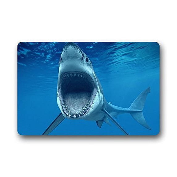 WinHome Open Up Hark Doormat Floor Mats Rugs Outdoors/Indoor Doormat Size 23.6x15.7 inches