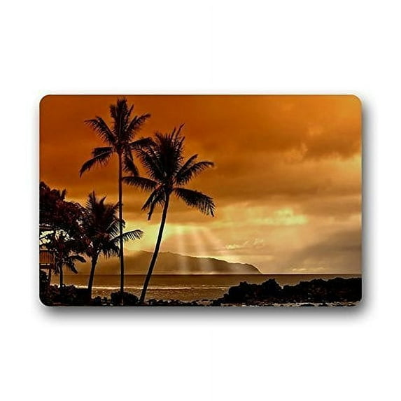 WinHome Palms Trees shadow sea Ocean Beach At sunset Landscape Doormat Floor Mats Rugs Outdoors/Indoor Doormat Size 23.6x15.7 inches