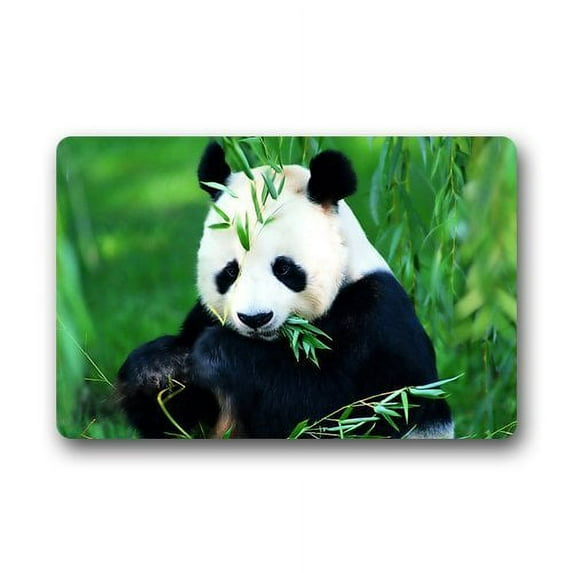 WinHome Panda Doormat Floor Mats Rugs Outdoors/Indoor Doormat Size 23.6x15.7 inches