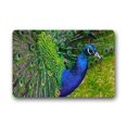 thumbnail image 1 of WinHome Peacock Feather Doormat Floor Mats Rugs Outdoors/Indoor Doormat Size 23.6x15.7 inches, 1 of 1