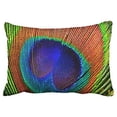 thumbnail image 1 of WinHome Pillowcases Cobalt Dark Blue Turquoise Abstract Macro Peacock Feathers Decorative Pillow Covers Protectors Cases Cushion Cover Case Couch Sofa Queen Size 20x30 inches One Side print, 1 of 1