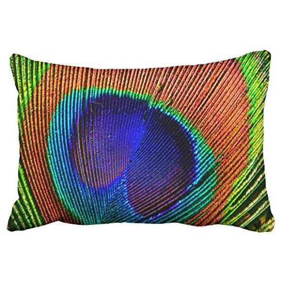 WinHome Pillowcases Cobalt Dark Blue Turquoise Abstract Macro Peacock Feathers Decorative Pillow Covers Protectors Cases Cushion Cover Case Couch Sofa Queen Size 20x30 inches One Side print