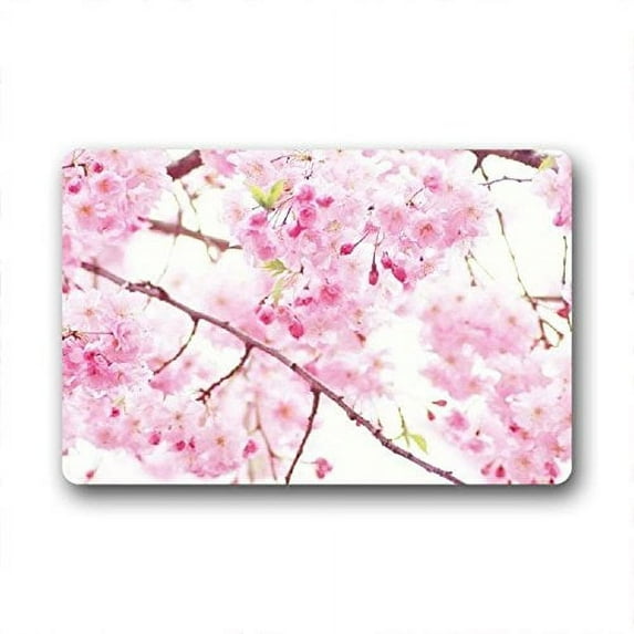 WinHome Pink Flowers Doormat Floor Mats Rugs Outdoors/Indoor Doormat Size 23.6x15.7 inches
