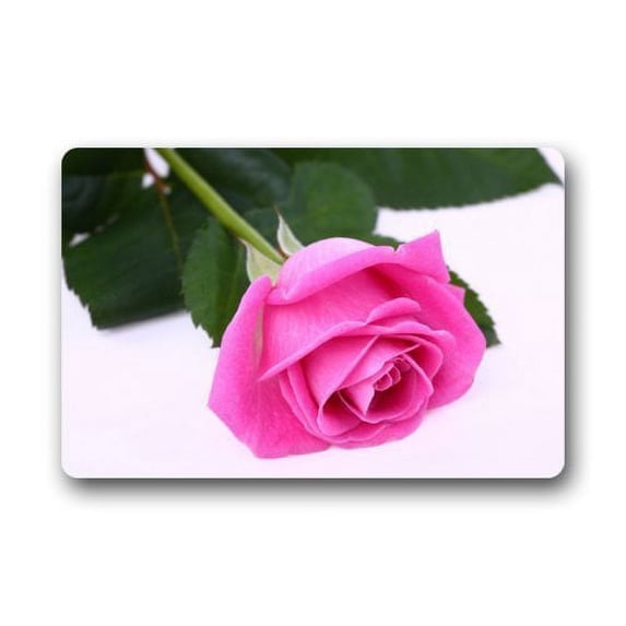 WinHome Pink Rose Doormat Floor Mats Rugs Outdoors/Indoor Doormat Size 23.6x15.7 inches