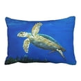 thumbnail image 1 of WinHome Rectangl Throw Pillow Covers Vintage Swimmer Turtle Simple Pattern Pillowcases Polyester 20 x 30 Inch With Hidden Zipper Home Sofa Cushion Decorative Pillowcase, 1 of 1