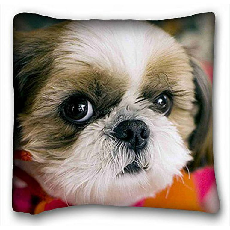 Shih shop tzu cushion