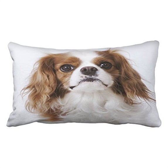 WinHome Single Cavalier King Spaniel Dog Sitting Animal Portrait Polyester 20 x 30 Inch Rectangle Throw Pillow Covers With Hidden Zipper Home Sofa Cushion Decorative Pillowcases