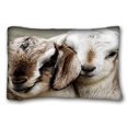 thumbnail image 1 of WinHome Square Pillow Case Cases Cover Cushion Covers Animals Goat Baby Square Sofa Size 20x30 Inches Two Side, 1 of 1
