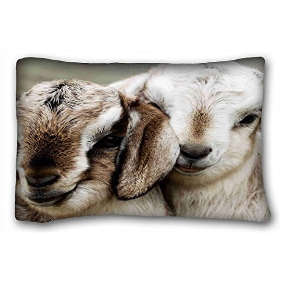 WinHome Square Pillow Case Cases Cover Cushion Covers Animals Goat Baby Square Sofa Size 20x30 Inches Two Side