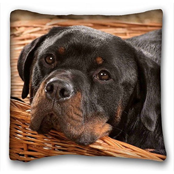 WinHome Square Throw Pillow Case Animals Dog Dog Rottweiler Size 20x20 inches Two Side Print