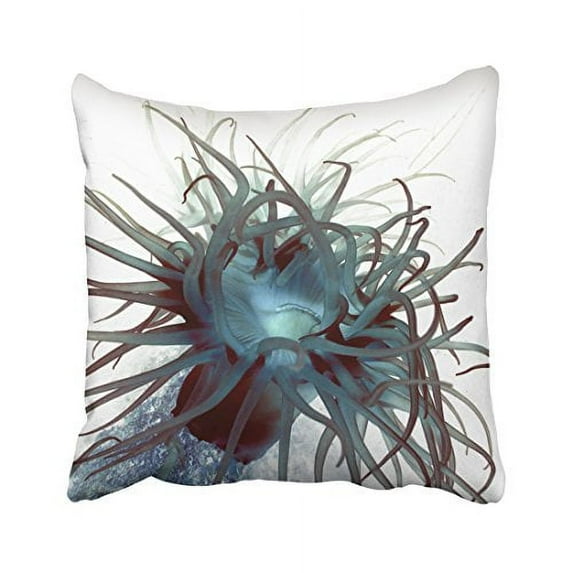 WinHome Square Throw Pillow Covers Sea Anemone Marine Life Nautical Pillowcases Polyester 18 X 18 Inch With Hidden Zipper Home Sofa Cushion Decorative Pillowcase