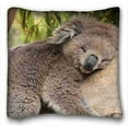 thumbnail image 1 of WinHome Standard Pillow Case Animals Koala Bear Tree Sleeps Bamboo Leaves Size 20x20 Inches Two Side Print, 1 of 1