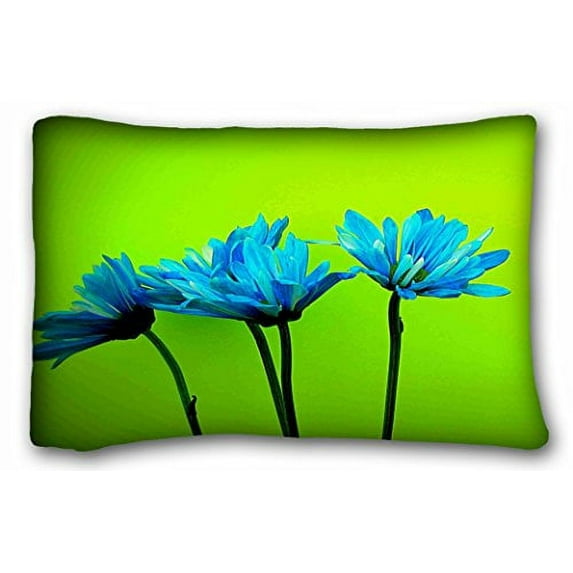 WinHome Teal Turquoise Daisies Flowers Lime Green Pillow Case Cases Cover Cushion Covers Sofa Size 20x30 Inches Two Side