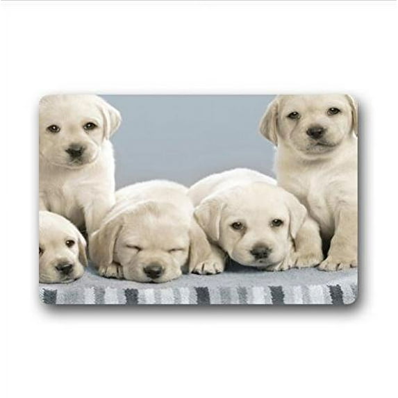 WinHome Tummy Puppy Doormat Floor Mats Rugs Outdoors/Indoor Doormat Size 23.6x15.7 inches