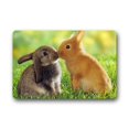 thumbnail image 1 of WinHome Two Kissing Rabbits Doormat Floor Mats Rugs Outdoors/Indoor Doormat Size 30x18 inches, 1 of 1