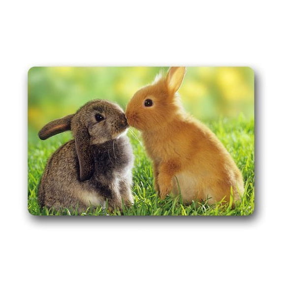WinHome Two Kissing Rabbits Doormat Floor Mats Rugs Outdoors/Indoor Doormat Size 30x18 inches