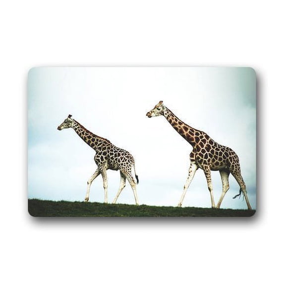 WinHome Two giraffes are walking on the grass pattern Doormat Floor Mats Rugs Outdoors/Indoor Doormat Size 23.6x15.7 inches