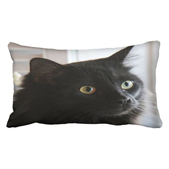 WinHome Vivid Vintage Real Large Eyed Black Cat Halloween Pattern Polyester 20 x 30 Inch Rectangle Throw Pillow Covers With Hidden Zipper Home Sofa Cushion Decorative Pillowcases