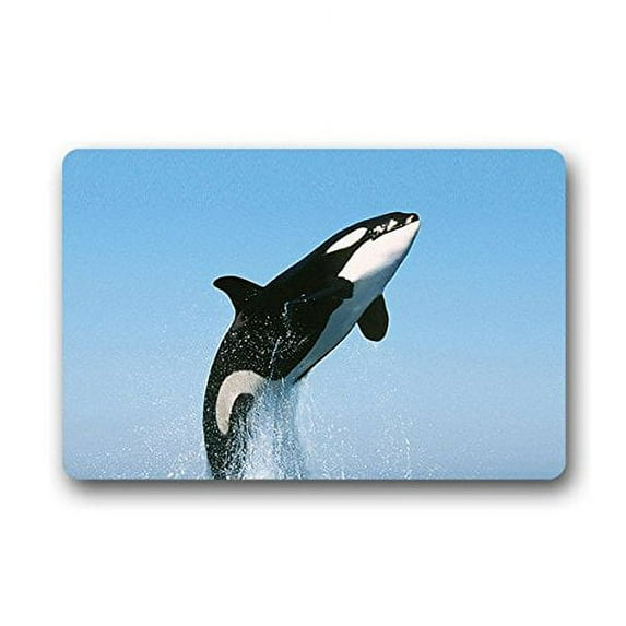 WinHome Whale Sea Doormat Floor Mats Rugs Outdoors/Indoor Doormat Size 30x18 inches