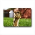 thumbnail image 1 of WinHome lovely quirrel Doormat Floor Mats Rugs Outdoors/Indoor Doormat Size 23.6x15.7 inches, 1 of 1
