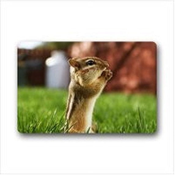 WinHome lovely quirrel Doormat Floor Mats Rugs Outdoors/Indoor Doormat Size 23.6x15.7 inches