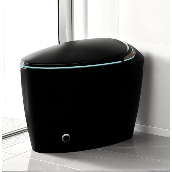 WinZo Bidet Toilet 10" Rough-in,Smart Toilet With Bidet,Oval Egg Modern Shaped, Auto Open/Flush, Adjusted Heated Seat, Warm Water and Dryer, Night Light, Matte Black