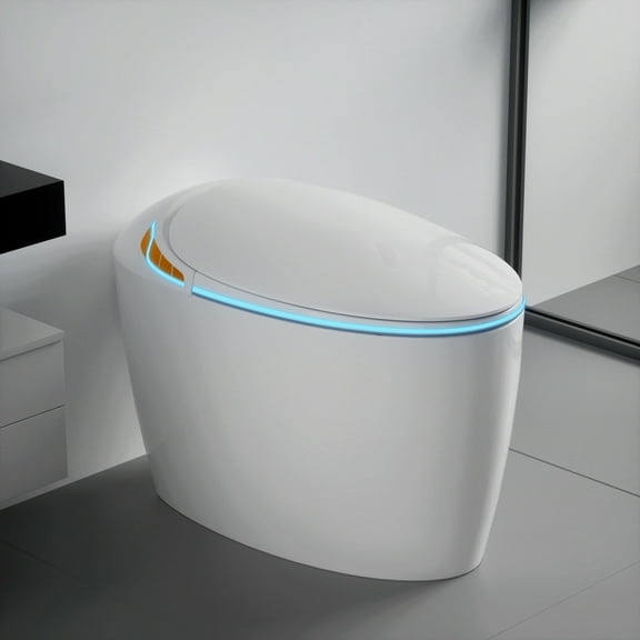 WinZo Luxury Smart Toilet With Bidet Seat, Elongated Egg Shaped Modern Design, Auto Open Auto Flush, Adjusted Heated Seat, Warm Water and Dryer, Night Light, Side Buttons, White