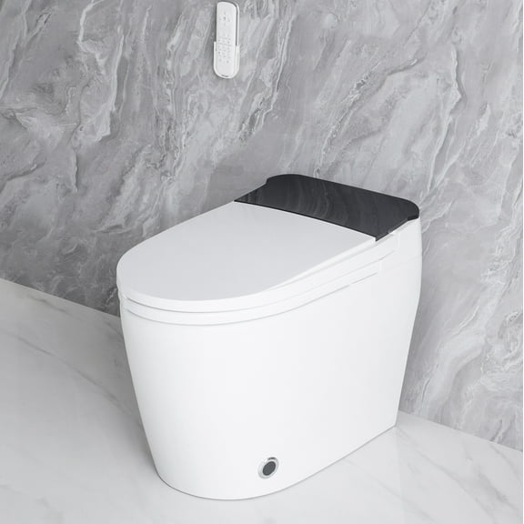 WinZo Tankless Smart Toilet With Bidet Built In, Heated Bidet Seat, Auto Flush, Auto Open & Close,Heated Seat, Warm Water and Dry,Night Light, Side Button, Wireless Remote, White