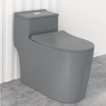 thumbnail image 1 of WinZo WZ5080GR Comfort Tall One Piece Toilet Dual Flush Low Profile Tank High Efficiency 17.3" Comfortable Seat Height,Matte Grey, 1 of 7