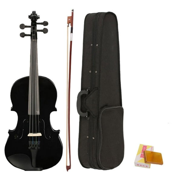 Winado 4/4 Black Acoustic Violin Fiddle with Hard Case, Bow, Rosin for beginner