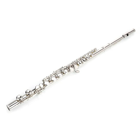 Winado Silver Nickel 16 Hole C Flute with Case for Student