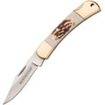 thumbnail image 1 of Winchester 6220085W 2.5" Stainless Blade Stag Handle Folding Knife, 1 of 1