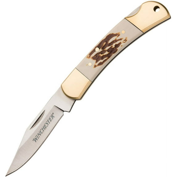 Winchester 6220085W 2.5" Stainless Blade Stag Handle Folding Knife