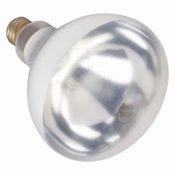 Winco EHL-BW Shatter-Resistant Bulb for EHL-2, 250W, Clear